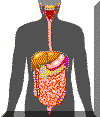 appdigestif_petit.gif (3166 octets)