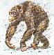chim5.jpg (3510 octets)