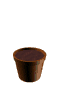 plante.gif (11773 octets)